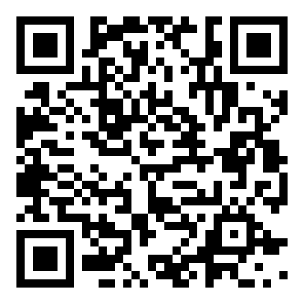 Lisa QR Code